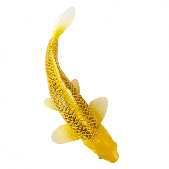 Mojo kapr koi Matsuba