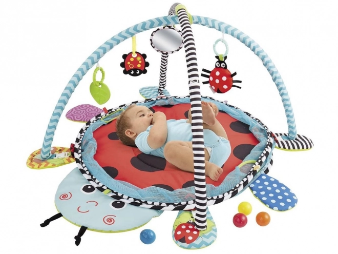 Vzdělávací podložka Ladybird Playpen Balls pro děti