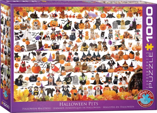 EUROGRAPHICS Puzzle Halloweenská zvířátka 1000 dílků