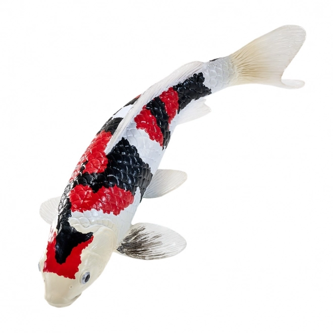 Mojo kapr koi showa sanshoku