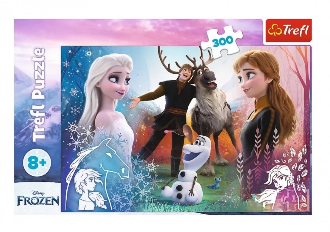 Puzzle 300 prvků Magic Time Frozen 2