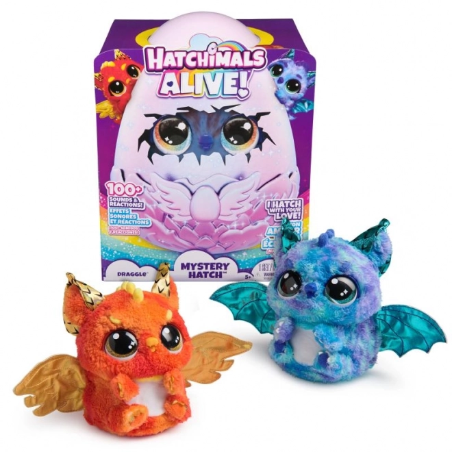 Interaktivní zvířátko Hatchimals dráček