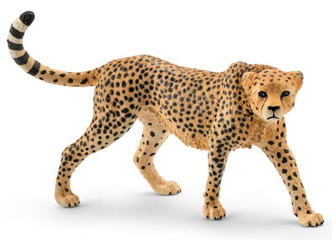 SCHLEICH Wild Life® 14746 Samice geparda
