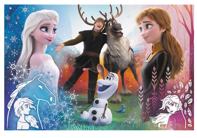 Puzzle 300 prvků Magic Time Frozen 2