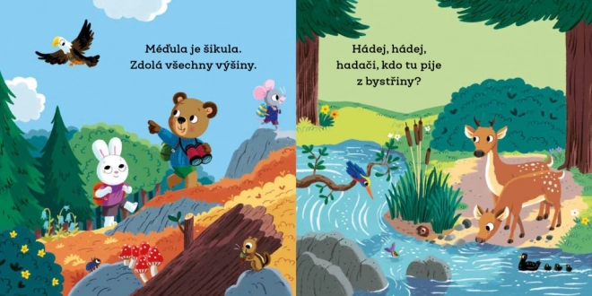 Méďula šikula táborníkem – obrázky s pohyblivými prvky