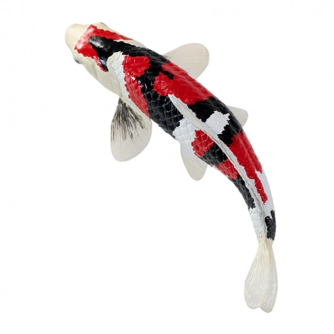 Mojo kapr koi showa sanshoku
