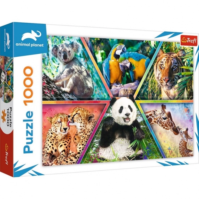 Puzzle 1000 prvků Animal Kingdom Animal Planet