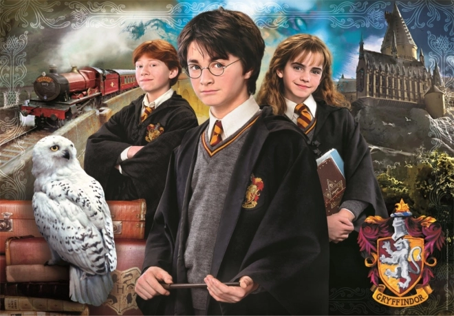 Puzzle 1000 dílků Kompaktní Harry Potter