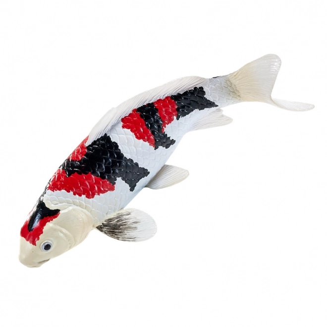 Mojo kapr koi showa sanshoku