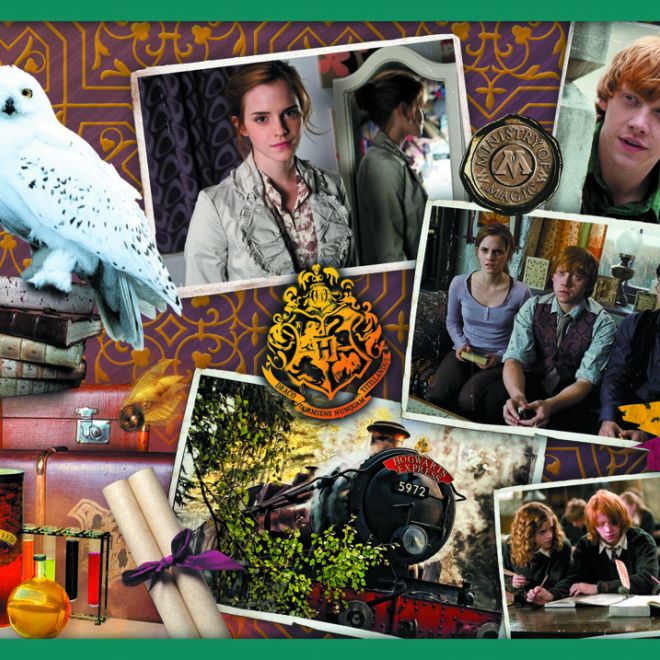Puzzle Harry Potter - Ve světě Harryho Pottera 10v1