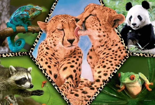 Puzzle 100 prvků - přírodní krásy Animal Planet