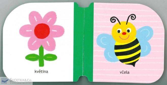 Svojtka & Co. Moje první slova - Malá káčátka