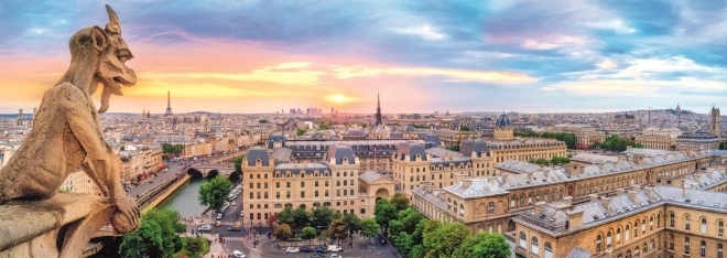 TREFL Panoramatické puzzle Výhled z katedrály Notre-Dame 1000 dílků