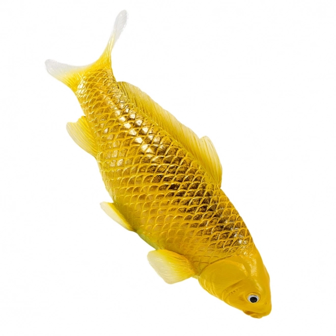 Mojo kapr koi Matsuba
