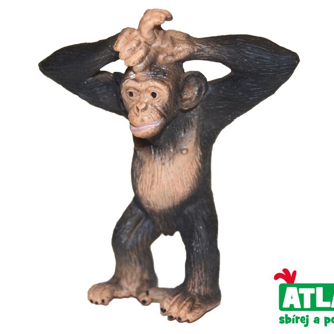 A - Šimpanz 6 cm