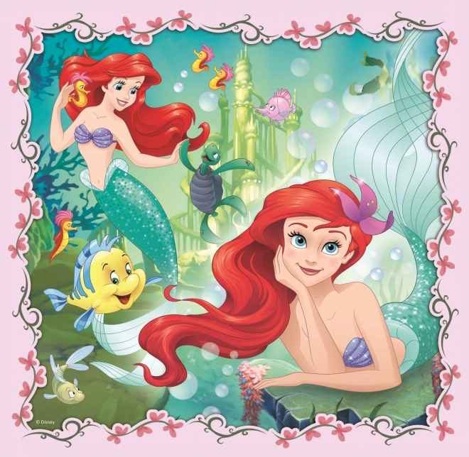 TREFL Puzzle Disney princezny s přáteli 3v1 (20,36,50 dílků)