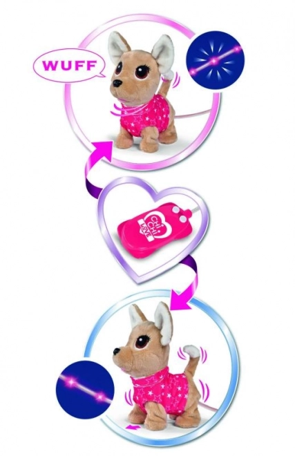 CCL Pejsek čivava Twinkle