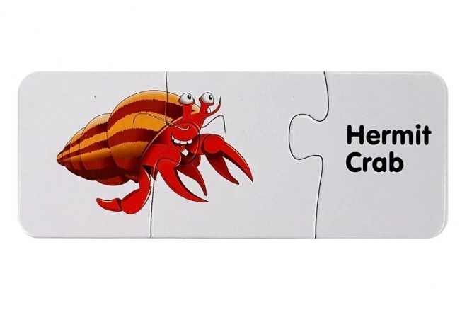 Vzdělávací puzzle Svět oceánů 10 připojení