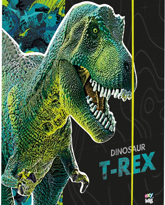 OXYBAG Box na sešity A5 Premium Dinosaurus