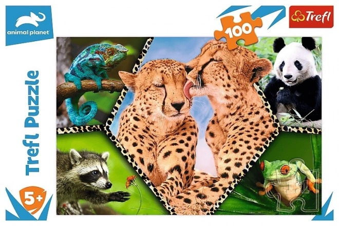 Puzzle 100 prvků - přírodní krásy Animal Planet