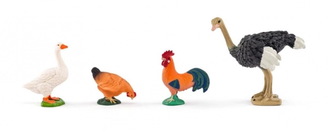 Faunica Farma s domácími zvířaty