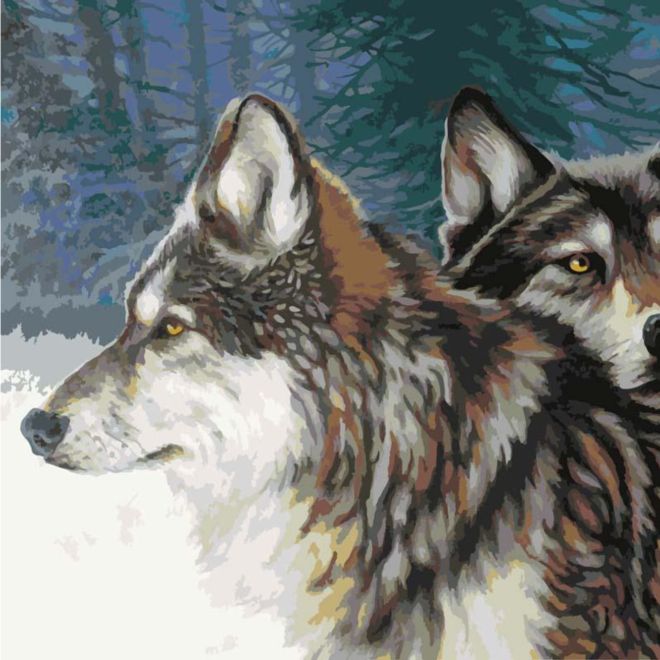 Sada na diamantové malování - vlci ve sněhu