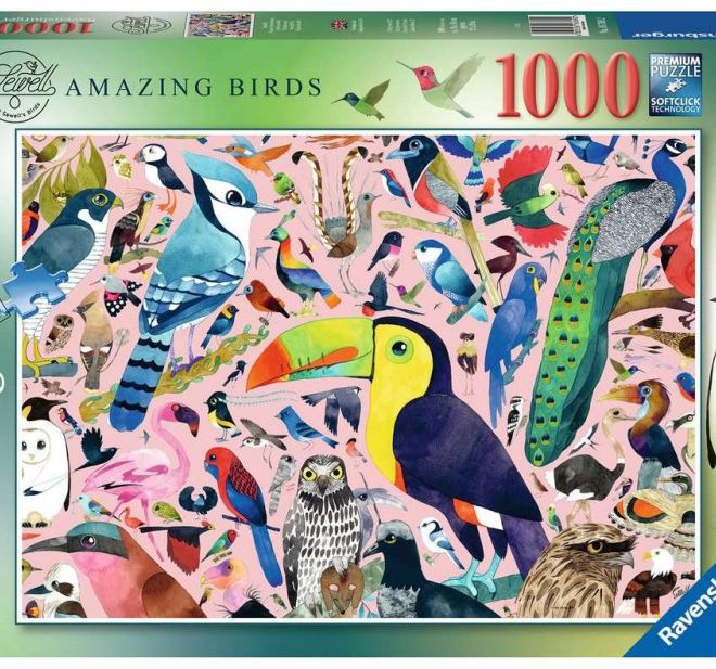 2D puzzle 1000 dílků Matt Sewells Velkolepí ptáci