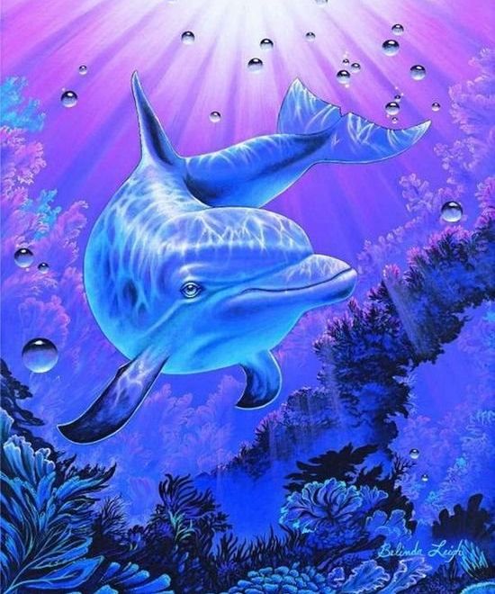Sada na diamantové malování - delfín