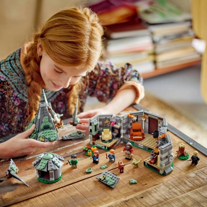 LEGO Harry Potter 76428 Hagridova bouda: Neočekávaná návštěva