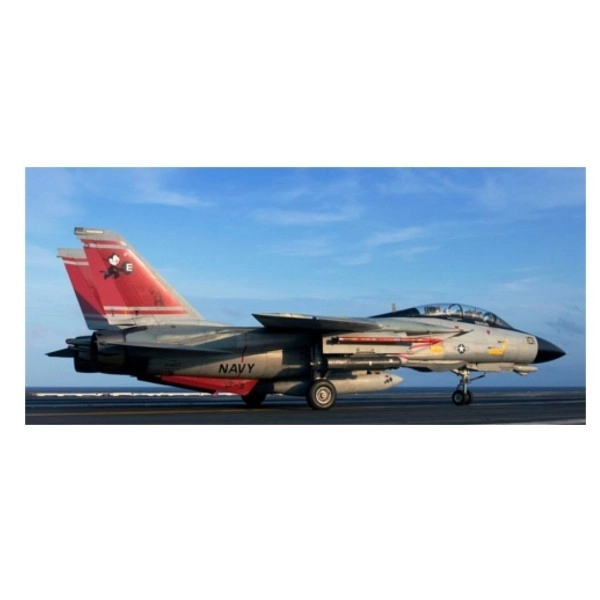 Plastikový model F-14D Super Tomcat