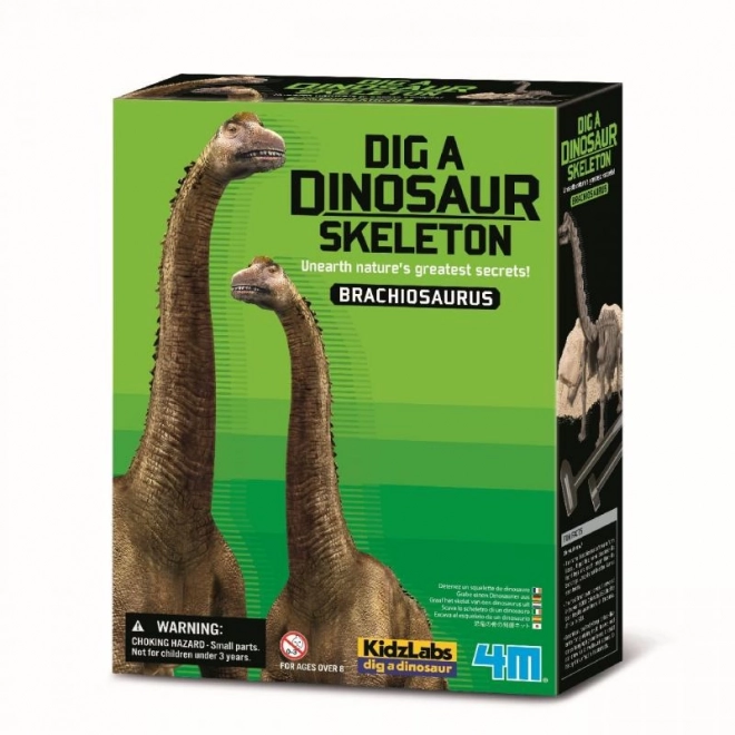 Dinosauří kostra - Brachiosaurus