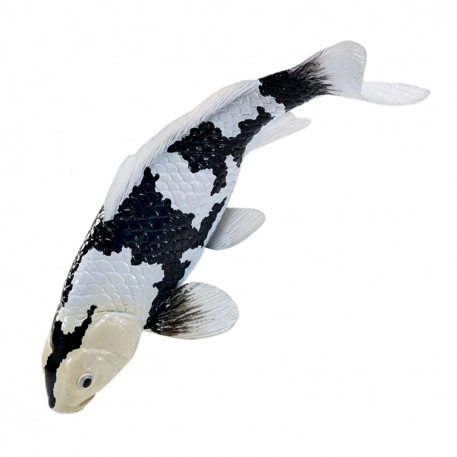 Mojo kapr Koi Shiro Utsuri