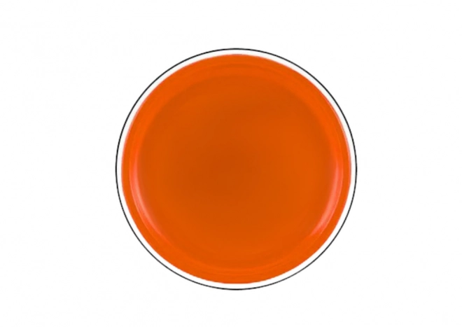 Frisbee létající disk s dinosaurem Orange 20 cm