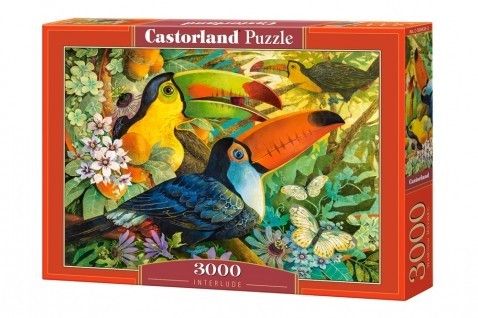 Puzzle 3000 prvků Ptáci Toucans Interlude