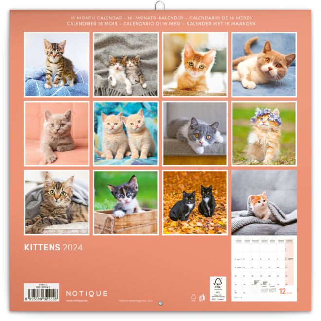 Poznámkový kalendář Koťata 2024, 30 × 30 cm