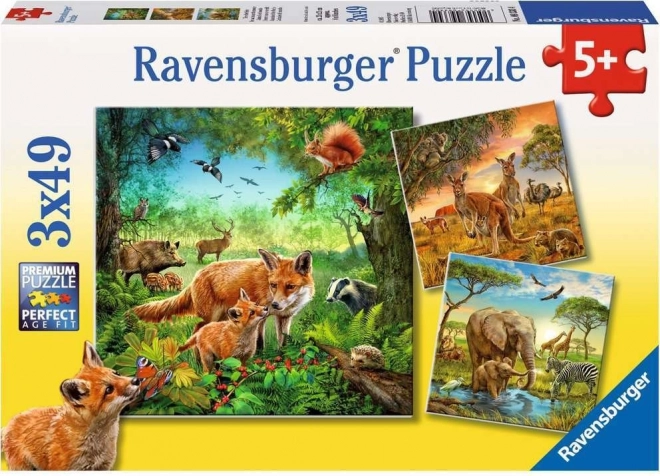 RAVENSBURGER Puzzle Zvířata 3x49 dílků