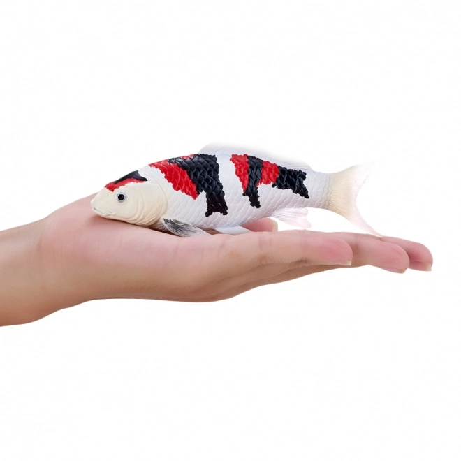 Mojo kapr koi showa sanshoku