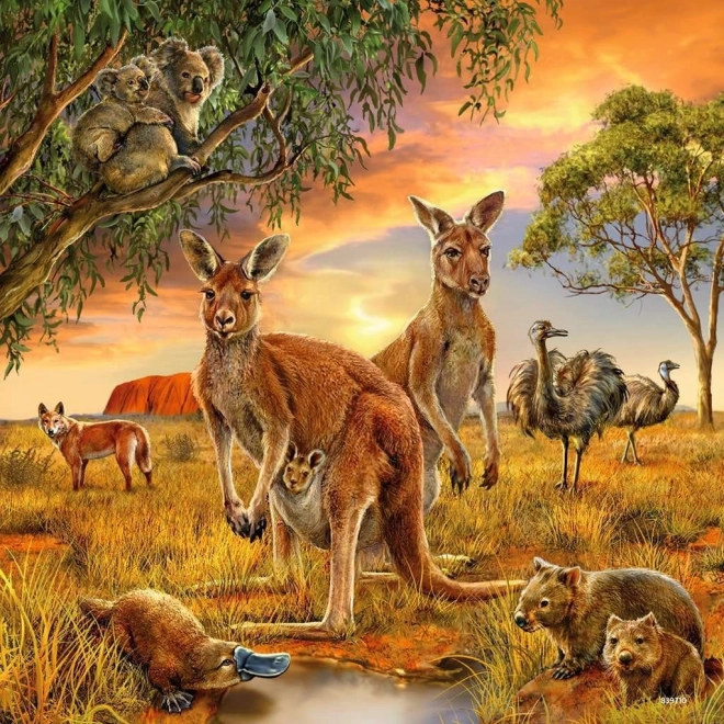 RAVENSBURGER Puzzle Zvířata 3x49 dílků