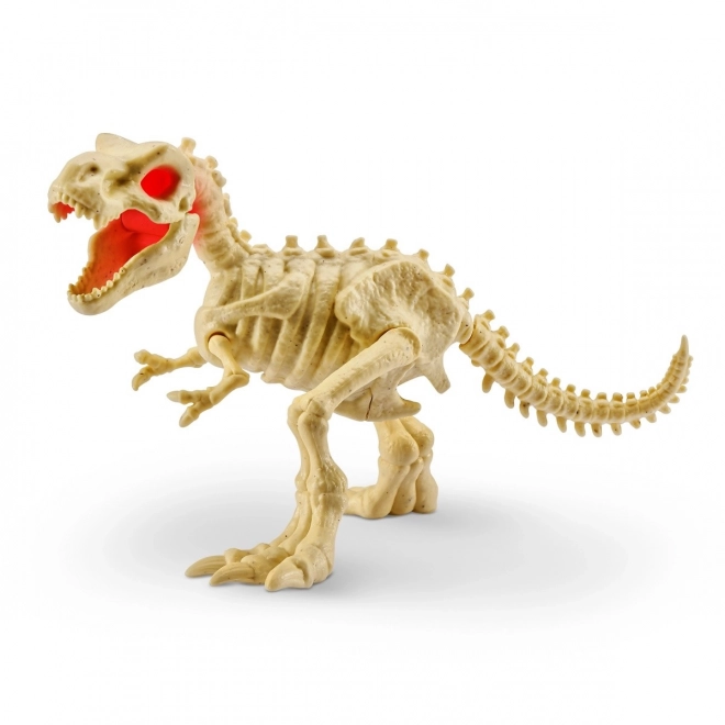 Zkamenělé dinosauří vejce