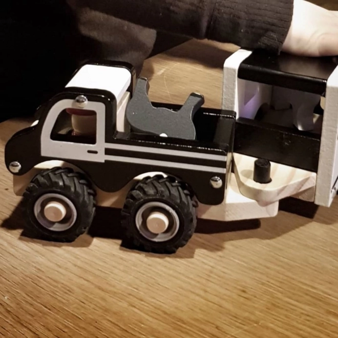 Kočár tažený koňmi