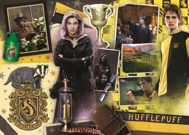 TREFL Puzzle Harry Potter 4v1