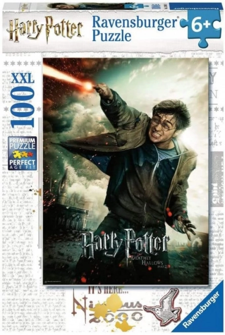 Harry Potter 100 dílků