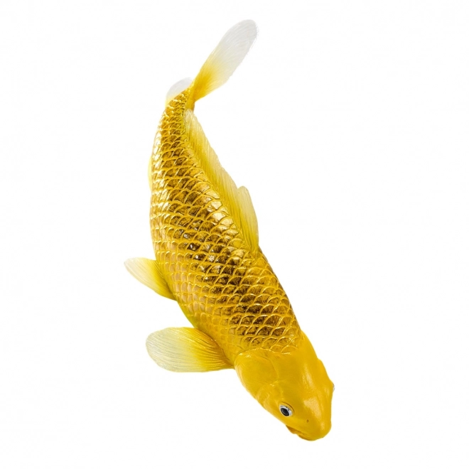 Mojo kapr koi Matsuba