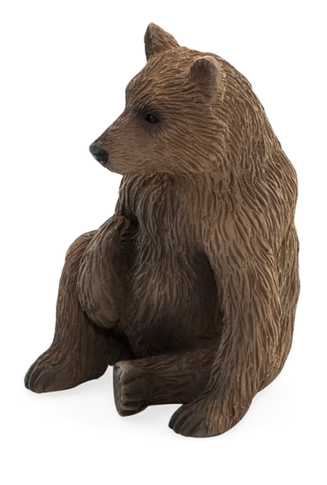 Mojo Medvěd grizzly mládě