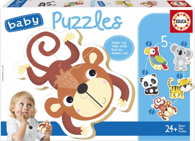 EDUCA Baby puzzle Divoká zvěř 5v1 (3-5 dílků)
