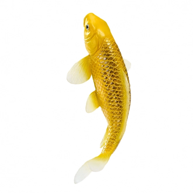 Mojo kapr koi Matsuba