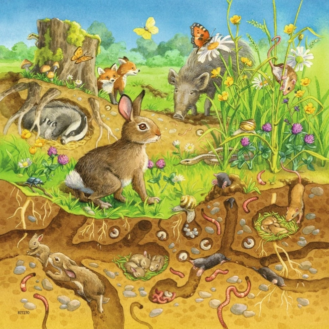 RAVENSBURGER Puzzle Zvířátka ve svých domovech 3x49 dílků