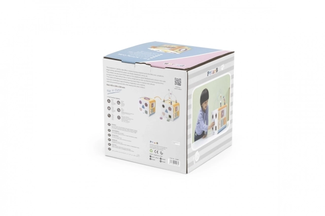 8-in-1 activity cube