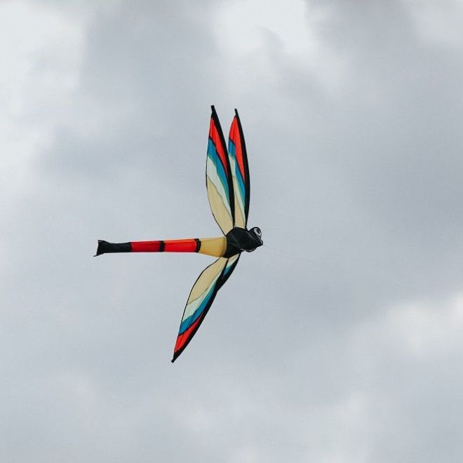 Létající drak Vážka 110 x 144 cm