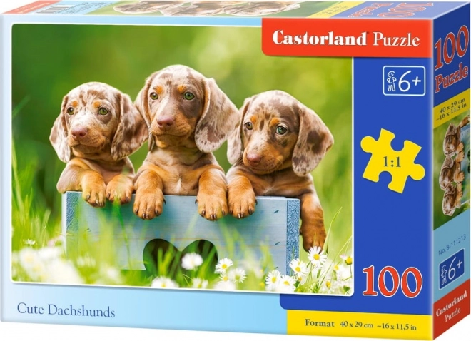 Puzzle 100 dílků roztomilí jezevčíci